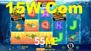 Premium Interface 55ME